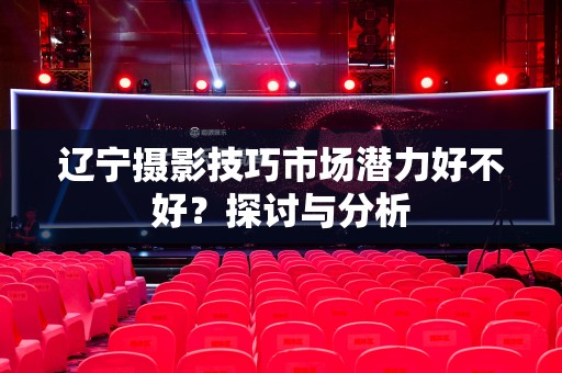 辽宁摄影技巧市场潜力好不好？探讨与分析