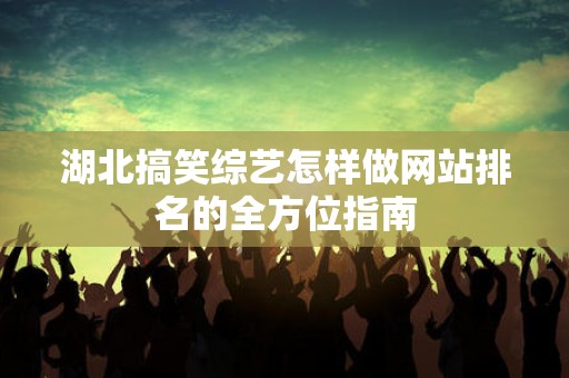 湖北搞笑综艺怎样做网站排名的全方位指南