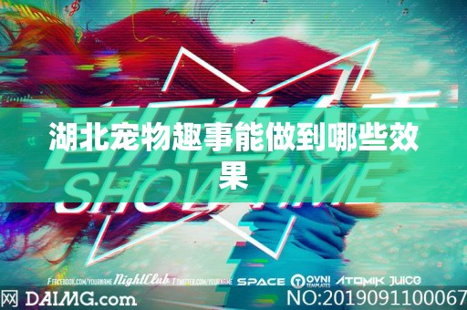 湖北宠物趣事能做到哪些效果