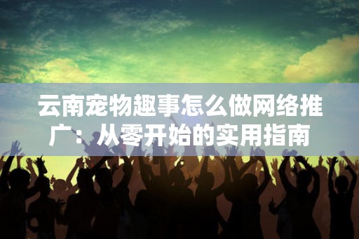 云南宠物趣事怎么做网络推广：从零开始的实用指南