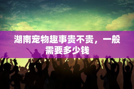 湖南宠物趣事贵不贵，一般需要多少钱